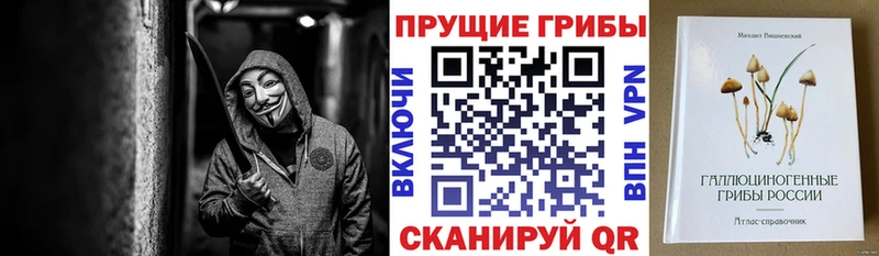 KRAKEN онион  Знаменск  Галлюциногенные грибы Psilocybine cubensis  где купить наркотик 